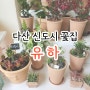 다산신도시 꽃집 추천 , 다산동 꽃집 유하 ♥ (주차)