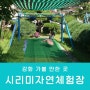 [아이와 함께] 인천 강화도 시미리자연놀이체험장 네이버예약 방문기