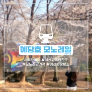 예당호 모노레일 가격과 운영시간표 정보 예산벚꽃명소(23.03.31 개화현황)