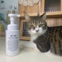 고양이목욕 샴푸 바이랩 캣버블샴푸 냥빨 후기!
