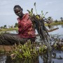 기후 행동 | WFP가 마지막 한 방울까지 활용하는 방법