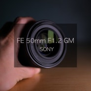 [소니 FE 50mm F1.2GM] 소니 a1의 단짝이된 표준줌렌즈 장단점.