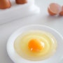 콜레스테롤 수치 낮은 버섯 먹은 계란 (무항생제 계란)