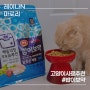 고양이사료추천 밥이보약 먹고 체중조절 시작!