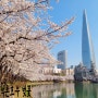 서울 벚꽃 명소 석촌호수