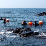 오직 '제주'에서만 경험 가능한! 제주 바다에서 즐기는 특별한 이색 체험 - 해녀체험 편