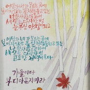 내마음의시 나태주 멀리서빈다 위로시 감동시 가을시 한국인이사랑하는시인