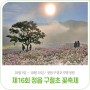 제16회 정읍 구절초 꽃축제｜10월 5일(목) ~ 10월 15일(일) 정읍구절초지방정원