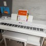 다이나톤 DT100 / 취미용 우리아이 첫 입문용 디지털 피아노