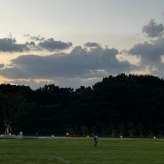 [서울대 학식] 서울대학교 사람들은 뭐를 먹나요? 서울대 학식 맛, 가격, 가성비, 추천