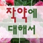 작약꽃 꽃말 작약차 작약 효능 부작용에 대한 이야기 / 서이추환영