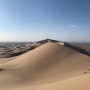 [몽골여행] 3일차, 바양작~홍고린엘스 (폭풍의 모래언덕)