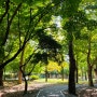 서울 양재시민의숲 매헌시민의숲 산책하기좋은곳!
