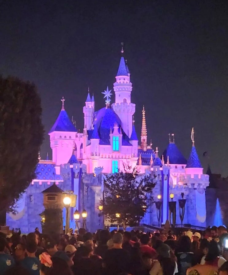 ☆LA 디즈니랜드☆ 디즈니랜드 파크 (Disneyland Park)/어트랙션 추천 TOP ....