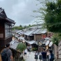 Kyoto(3) - 청수사, 기요미즈 거리, 돈키호테 쇼핑