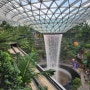 싱가포르 창이국제공항 4터미널에서 공항순환버스 타고 1터미널 주얼창이 Jewel Changi 에어포트 종합쇼핑몰 가기 - 실내폭포 레인보텍스 Vortex 포레스트벨리 캐노피공원