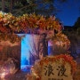 용인 한국민속촌 야간개장 가을축제 가족나들이 추천
