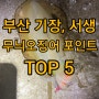 부산 기장, 울산 서생 "무늬오징어"낚시 포인트 TOP 5!!, 지극히 개인적인 추천!!
