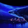 울산 웨일즈 판타지움 5D 고래 홀로그램 영상