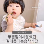 두딸맘이 사용했던 아기가 절대못떼는 아기흡착식판