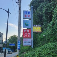 시흥 하우고개 누룽지백숙 맛집 '대풍농원'