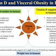 다이어트에 도움이 되는 비타민D (일산365온 가정의학과 다이어트 칼럼)
