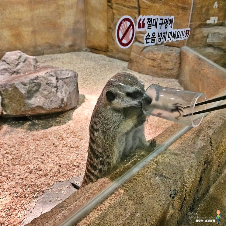 부산 동물원 아이랑 갈만한곳 명지 라라쥬 부산 실내동물원