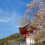 트립스토어 3박4일해외여행 패키지 오사카 벚꽃에 이어 가을 단풍구경!
