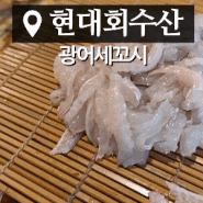 강북구맛집 회집의 끝판왕 '현대회수산' 방문기