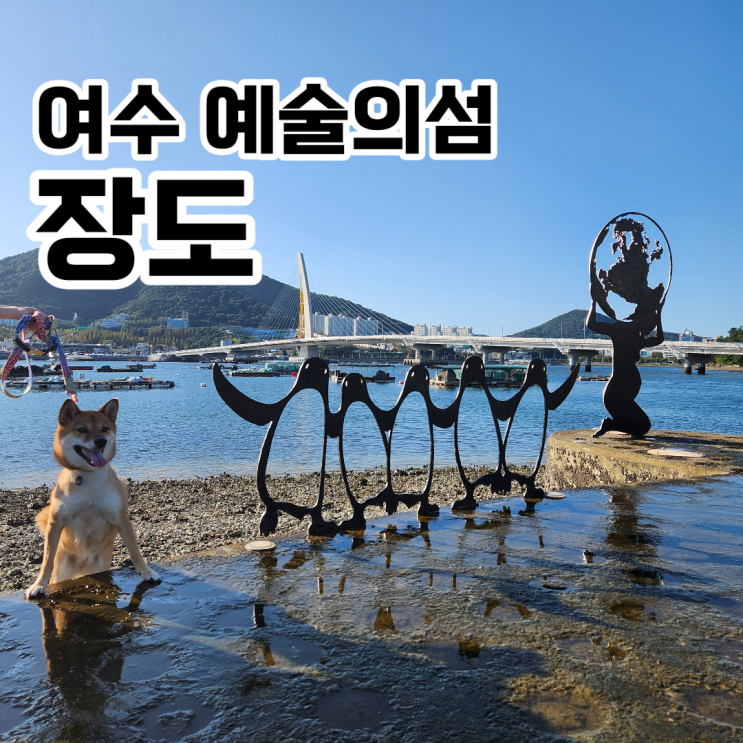 여수 애견동반여행 예술의 섬 장도 강아지산책 (주차장, 10월 물때) : 네이버 블로그