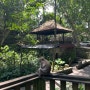 [발리여행]9박 10일 가족여행 우붓 가볼만한 곳(몽키포레스트, Monkey Forest, 발리동물원, 발리주, Bali Zoo)