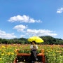 [힐링여행/청송여행] 산소카페청송정원에서 화려한 꽃들과 알록달록한 풍경을 ~