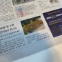 광안리 “민락해변공원” 2023 10월14일부터 국화꽃이 펼쳐질 예정