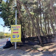 몽산포 힐링캠핑장 E구역 캠핑, 나솔사계 촬영지 연포해수욕장