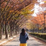 인천대공원 단풍명소 주말 가을나들이 추천
