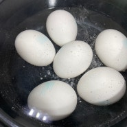 계란 잘 삶는 방법