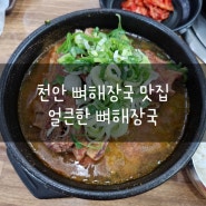 천란 뼈해장국 맛집 '얼큰한 뼈해장국'