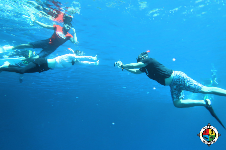 사이판 그로토 투어 사이판 액티비티 스노클링 GROTTO SNORKELING with Saipan Adventure : 네이버 블로그