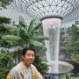 세계 1위 공항 싱가포르 창이공항에는 세계 최고 높이 실내 인공폭포가 있다!