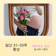 임신기록 31주-33주 임신 9개월, 갈비뼈 통증, 다리 경련, 붓기, 불면증