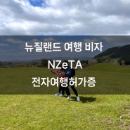 뉴질랜드 여행비자 당일발급! 전자여행허가증 (NZeTA) 신청방법, (pending 상태로 입국한 후기!) 에어뉴질랜드 Air Newzeland