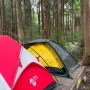 [캠핑] 1박 2일 제주도 서귀포 자연휴양림 편백숲야영장 이용후기
