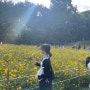 서울 코스모스 명소 올림픽공원 들꽃마루에서 꽃구경 잔뜩 하고 온 후기