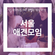 싱글 반려인을 위한 특별한 만남의 장 서울 애견모임