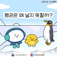 [디로라노 과학이야기] 펭귄은 왜 날지 못할까?