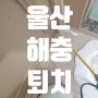 울산바퀴벌레퇴치 [다른 업체 실패 후 출동]