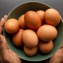 달걀 하루에 몇개까지 섭취해도 건강에 이상없을까?