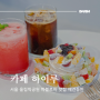 올림픽공원 카페 하이루 서울 파블로바 맛집 애견동반