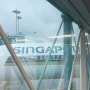 [발리여행]비행편✈️ : 싱가포르 항공 경유 탑승후기(편명 SQ0607.SQ0947) / 기내식 후기