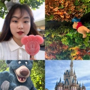 도쿄 혼자여행 8탄 :: 도쿄 디즈니랜드 혼자서 알차게 즐기기(2) 간식 추천, 곰돌이푸 외 여러 놀이기구 후기